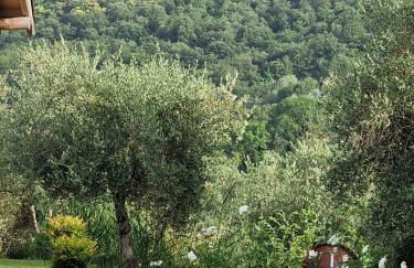 Sant'Anselmo - Foto 30