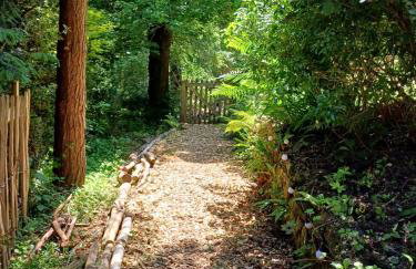 Offa's Hideaway - Wye Valley - Foto 19