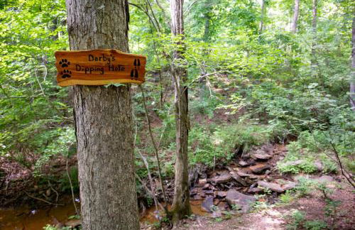 Cricket by the Creek - Creek, Gym, Trails, Kayaks - Foto 50