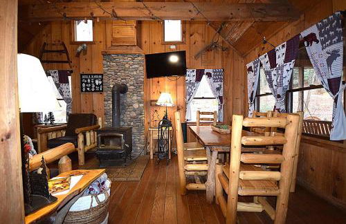 Ma & Pa's cabin at Cabin Fever in NC - Photo 7