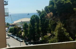 VIOLA HOME - Photo 1