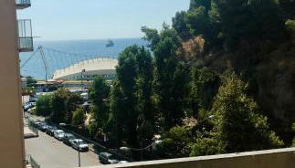 VIOLA HOME - Photo 1