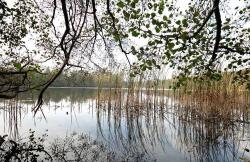 Ferienwohnung Müncheberg 2 - Photo 24