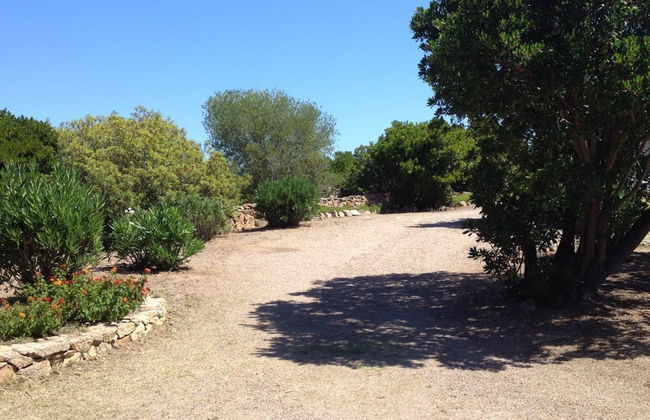 SVS - Lu Impostu Villa e Apartments - Foto 33