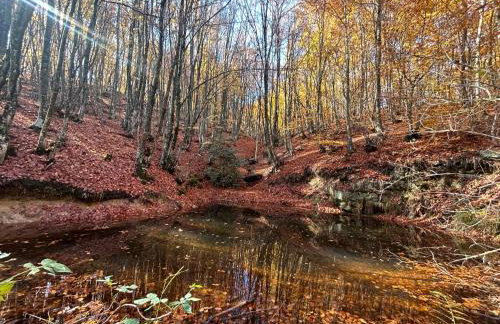 Mamali Guesthouse - Photo 16