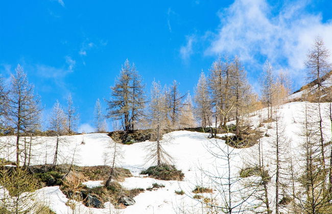 Apartment in Cervinia With Ski Access - Foto 36