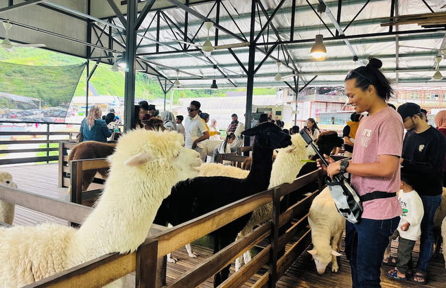 The Retreat sunrise view Cameron highlands - Photo 56