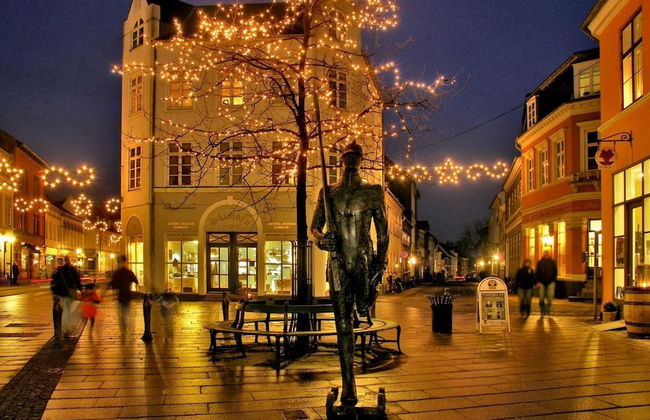 City Hotel Nattergalen Apartments - Photo 24