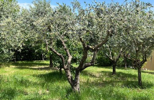 Casa Aldo nel cuore della Toscana - Foto 35