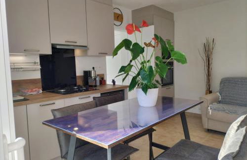 Gite Paul Sallou - Foto 8