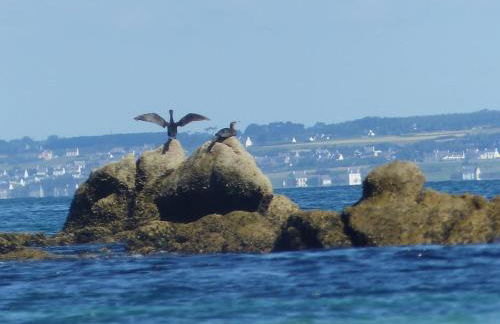 Escapade en Bretagne - Photo 21