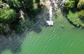 Calma House Ublik - Foto 8