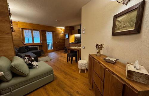 Étoile des Alpes Studio - Photo 11