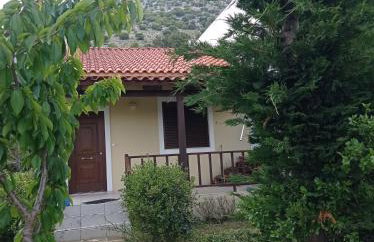 Vasilikata - Foto 100