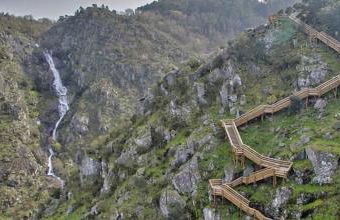 Trebid'Ouro - Foto 21