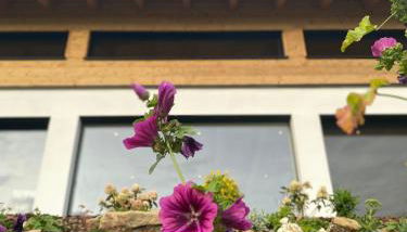 BergChaletWeitblick - Foto 5