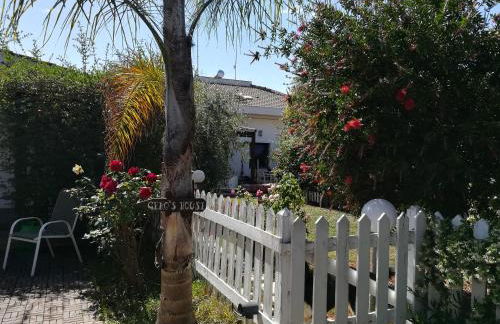 Geko's House - Foto 4