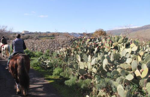 Agriturismo Borgo San Nicolao - Foto 77