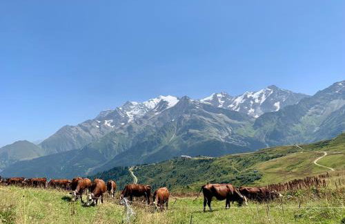 Studio Premium - Tour du MontBlanc - Piscine - Vue Dôme de Miage - Foto 20