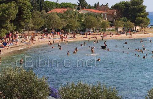 Apartmani Gaga - Foto 27