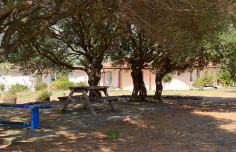 Agriturismo Rubinu - Photo 58