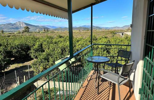 Orange Lemon Garden - Foto 27