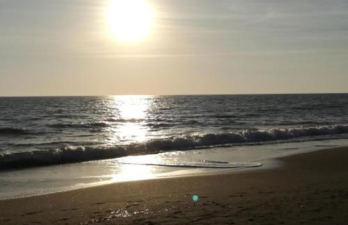 Agriturismo cavallin del papa - Foto 23