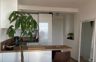 2 pièces, vue mer panoramique - Photo 13