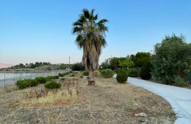 Seaside Garden Galaxidi - Photo 41