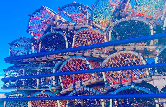 Beautiful 3-bed Cottage With Stunning sea Views - Foto 12