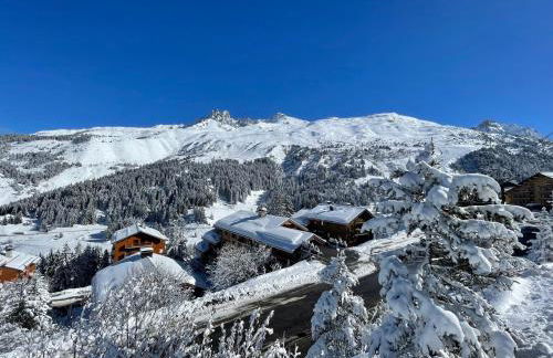 Chalet La Grande Ourse Meribel 135 m2 apartment near pistes - Foto 23