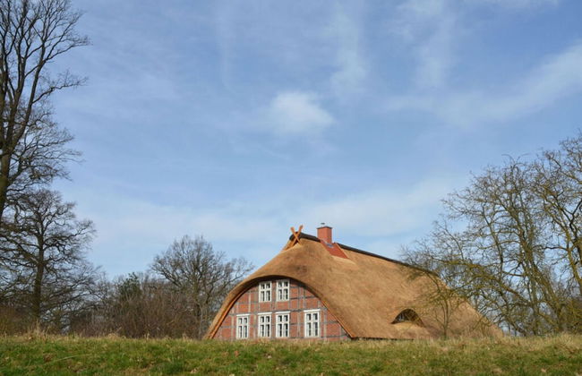 Holiday Home Deichkind on the Elbe Dike - Foto 27