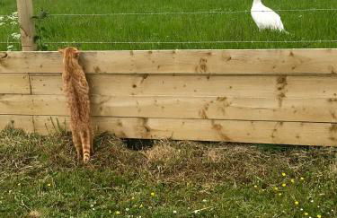 Beehive Cottage - Photo 15