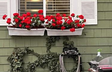 Cozy Cape Cod - Foto 40