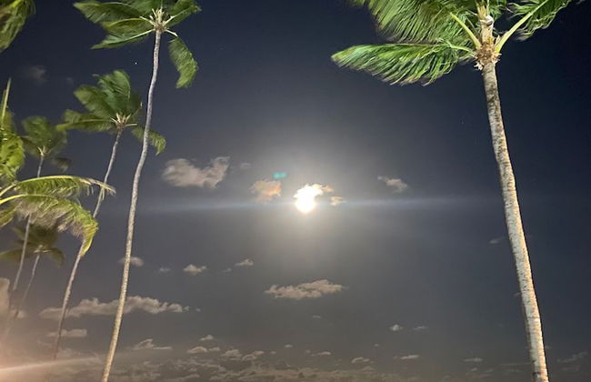 Porto Beach Resort - Marulhos - Photo 47