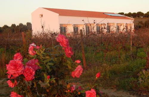 Quinta das Ratoeiras - Foto 27