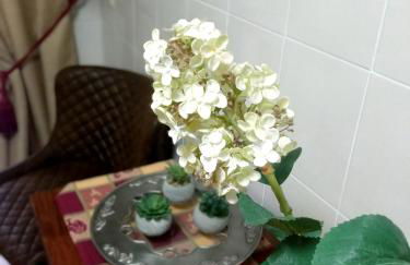 Casa de Nina - Foto 22