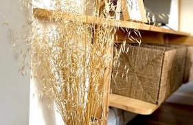 Studio Le Mitterrand - city center - Foto 11