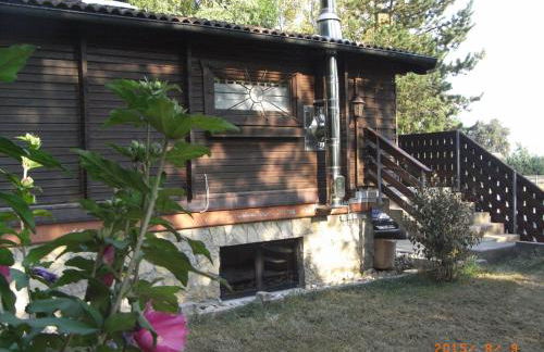 Grimm`s Waldhäuschen - Foto 11