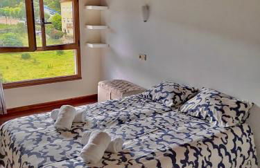 Apartamento el Remiendu Pegau - Foto 9