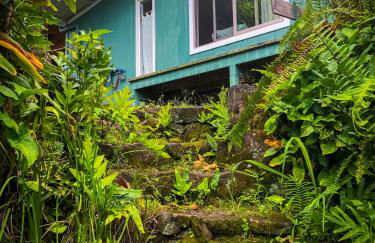 Gingerhill Farm Retreat - Foto 52