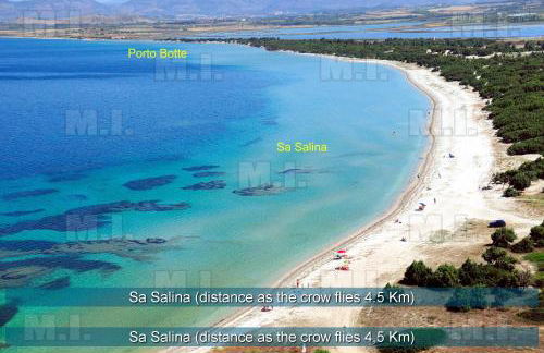 Il Fenicottero - Foto 18