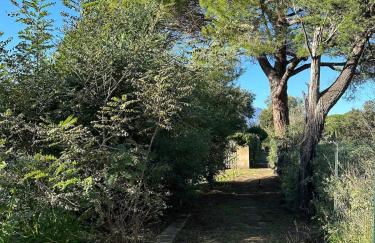 Villa Sole e Mare - Foto 22