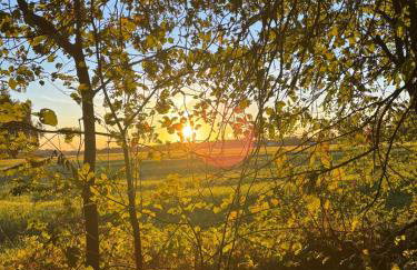 Lubuskie jezioro - Foto 17