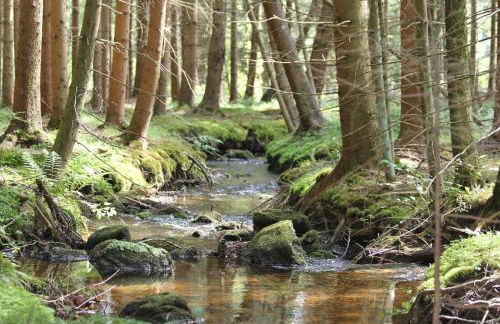 Ferienhof Ellerbeck - Foto 22