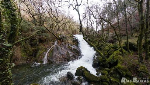 A Casa das Burgas - Photo 4