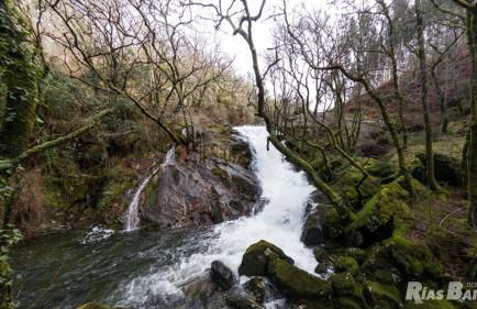 A Casa das Burgas - Photo 4