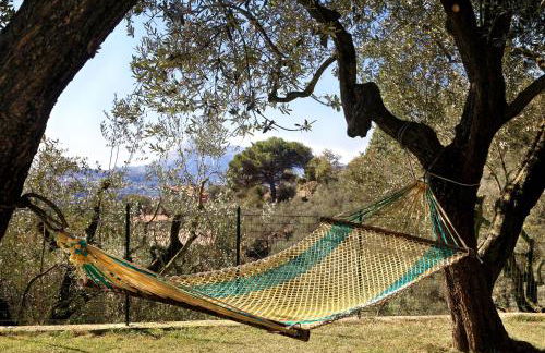 La Villa dell'Olio - Foto 9