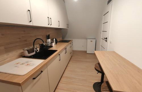 Willa Rogaś II - Foto 8