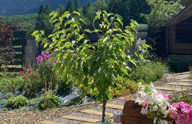 Babie Zacisze - Foto 1